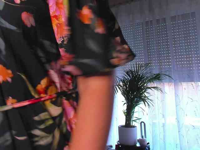 SoftVANESSA webcam
