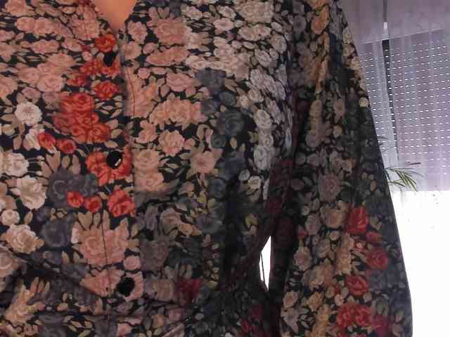 SoftVANESSA webcam