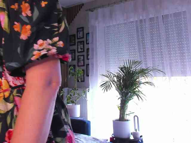 SoftVANESSA webcam