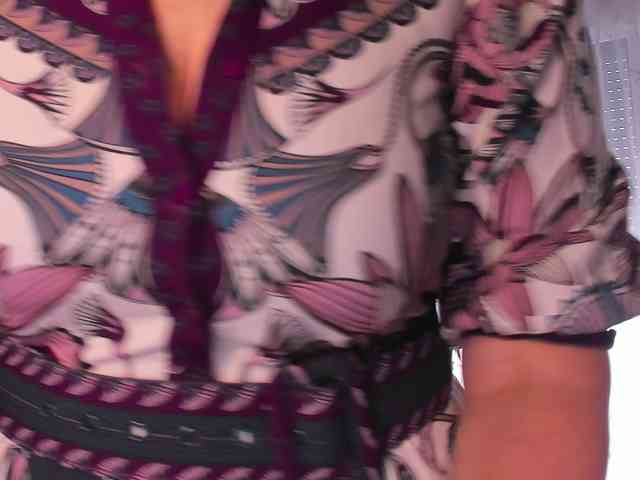 SoftVANESSA webcam