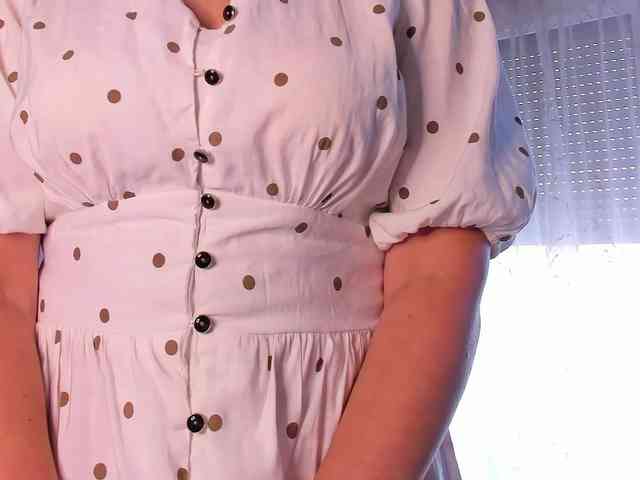 SoftVANESSA webcam
