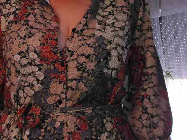SoftVANESSA webcam