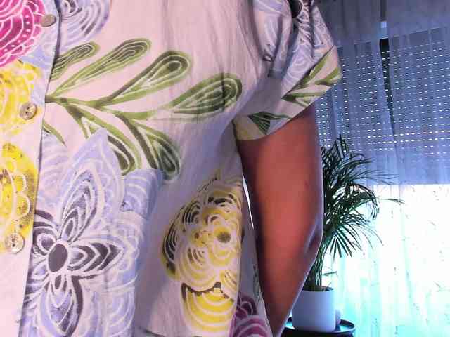 SoftVANESSA webcam