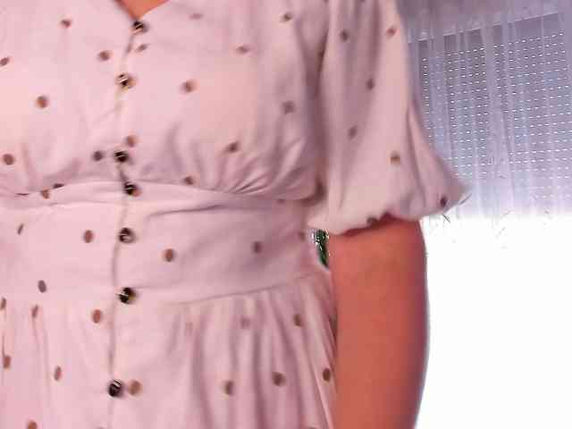 SoftVANESSA webcam