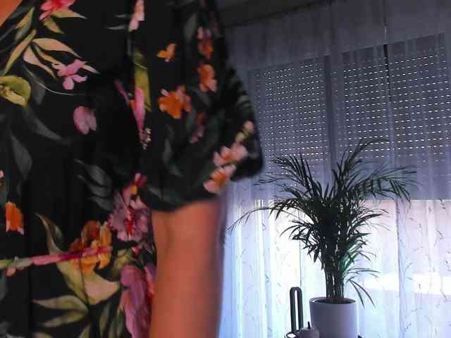 SoftVANESSA webcam