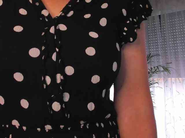 SoftVANESSA webcam