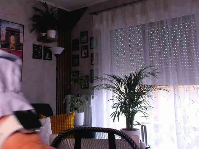SoftVANESSA webcam