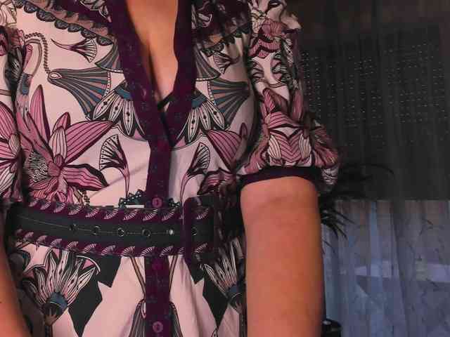 SoftVANESSA webcam