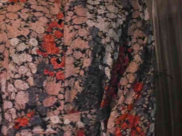 SoftVANESSA webcam