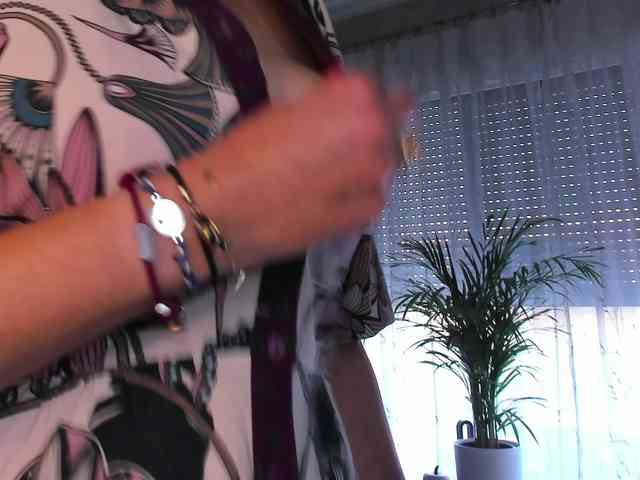 SoftVANESSA webcam