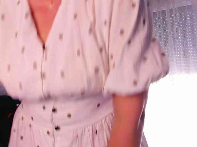 SoftVANESSA webcam