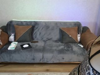 Dina5555