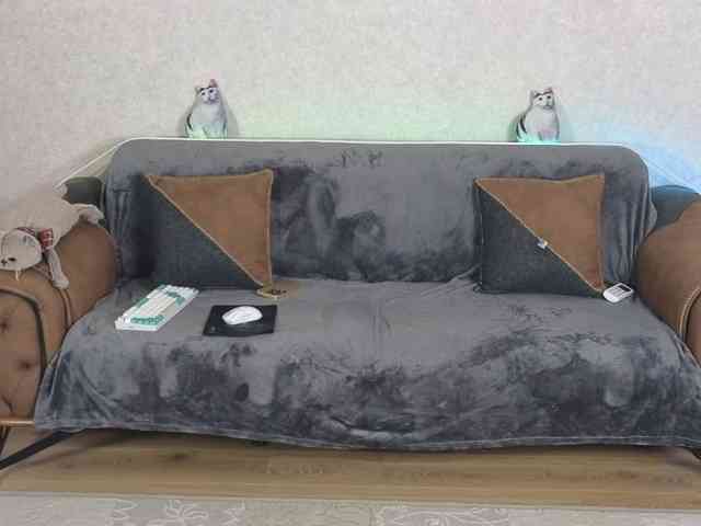 Dina5555 webcam