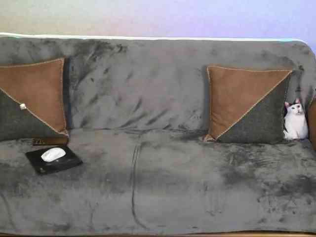 Dina5555