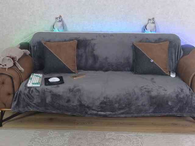 Dina5555 webcam