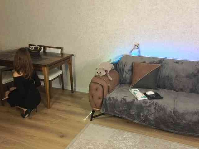 Dina5555 webcam