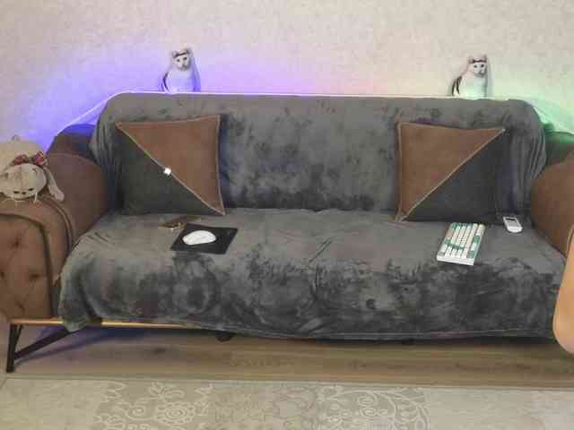 Dina5555 webcam