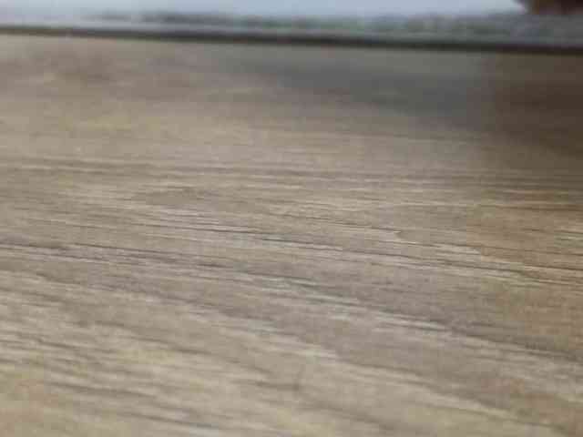Dina5555