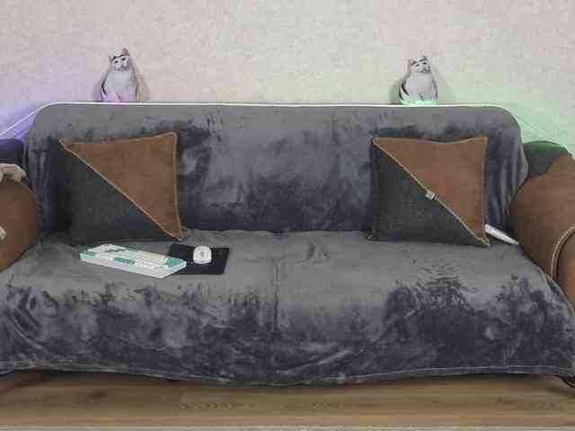 Dina5555 webcam