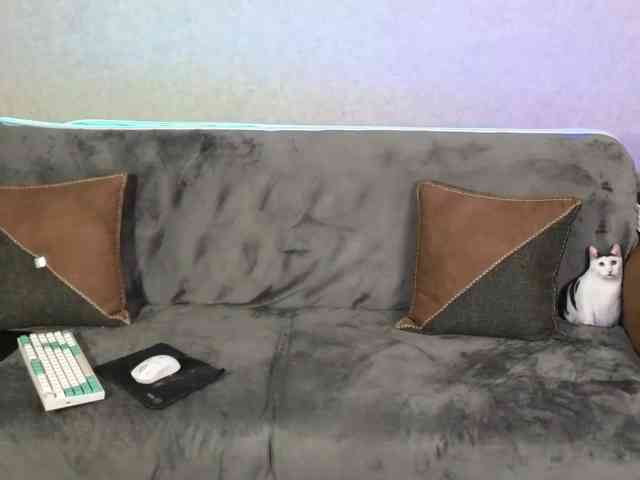 Dina5555 webcam