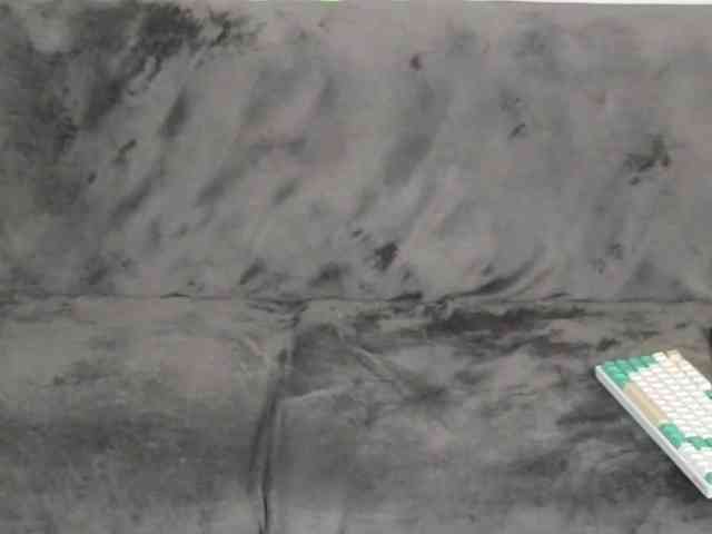 Dina5555