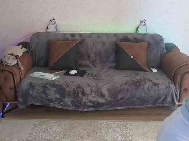 Dina5555 webcam