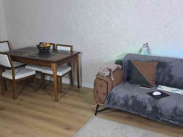 Dina5555 webcam