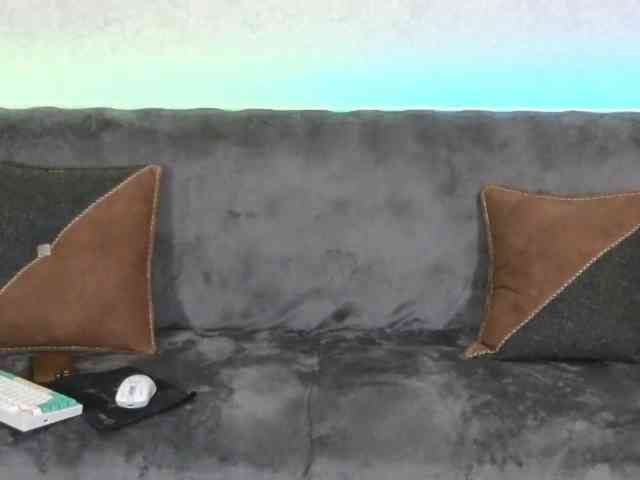 Dina5555 webcam