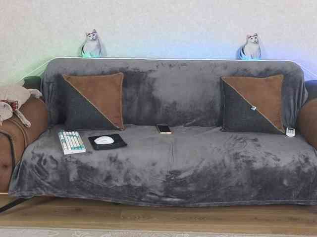 Dina5555 webcam