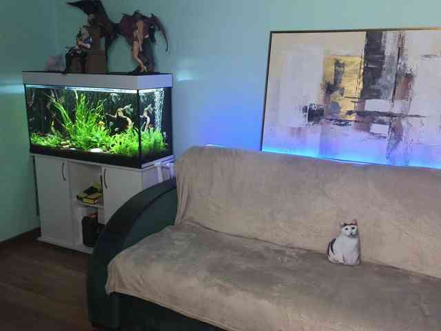 Dina5555 webcam