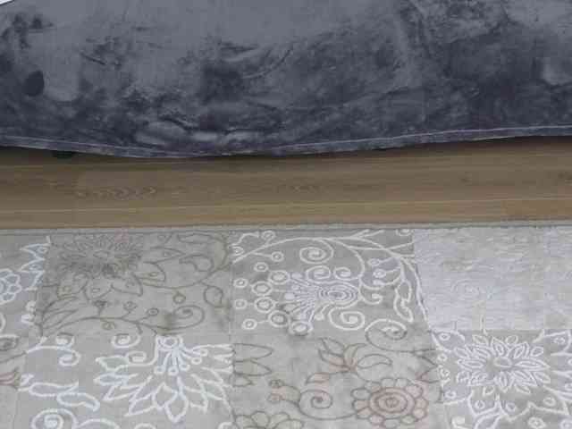 Dina5555 webcam