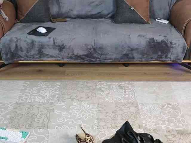 Dina5555 webcam