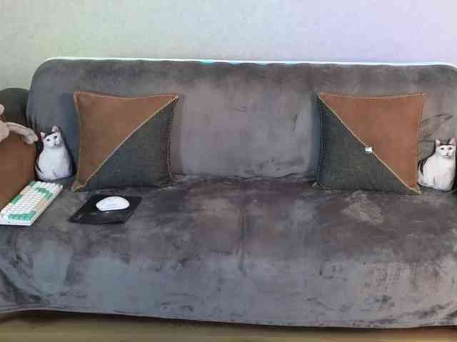 Dina5555 webcam