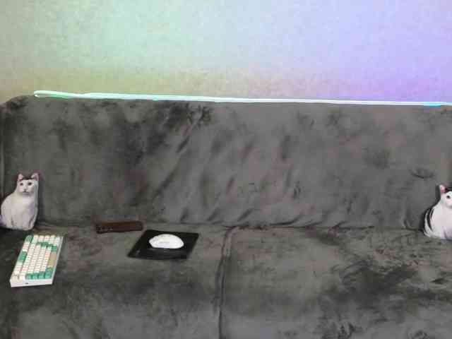 Dina5555 webcam