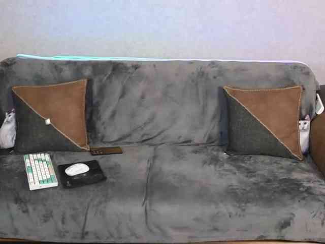 Dina5555