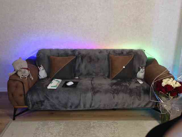 Dina5555 webcam