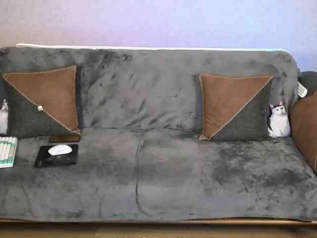 Dina5555 webcam
