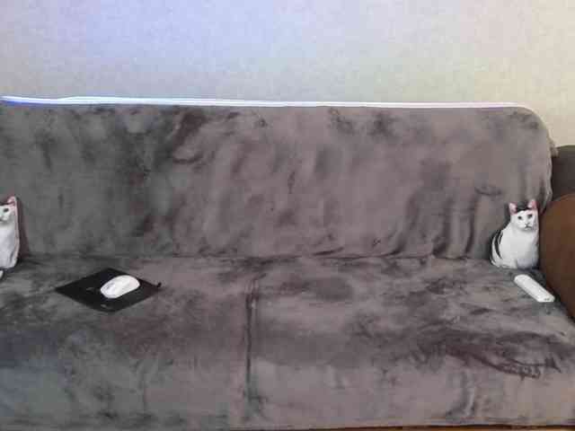 Dina5555 webcam