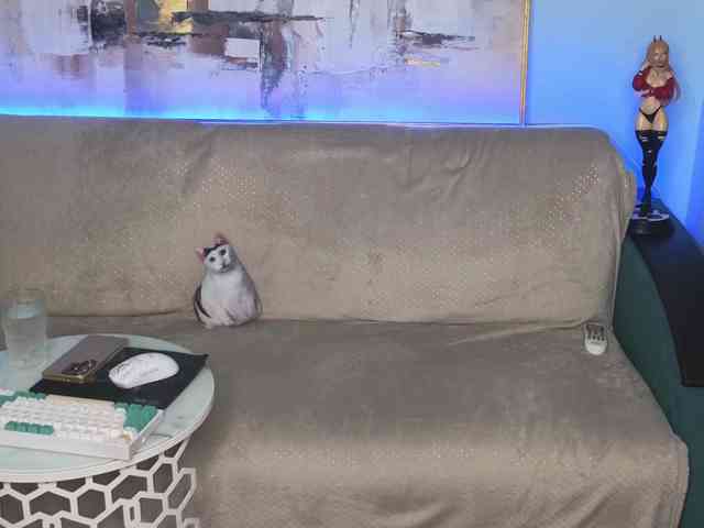 Dina5555 webcam