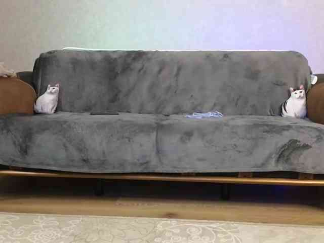 Dina5555 webcam