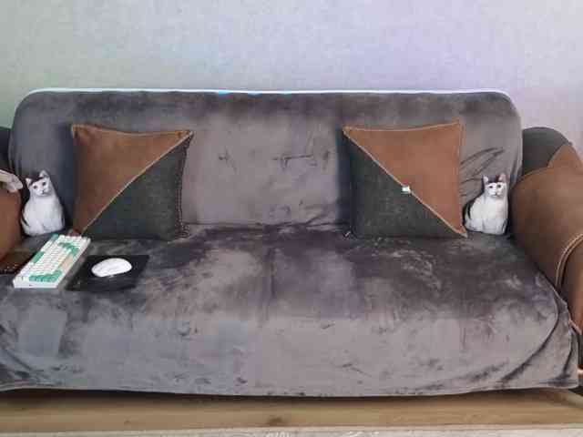 Dina5555 webcam