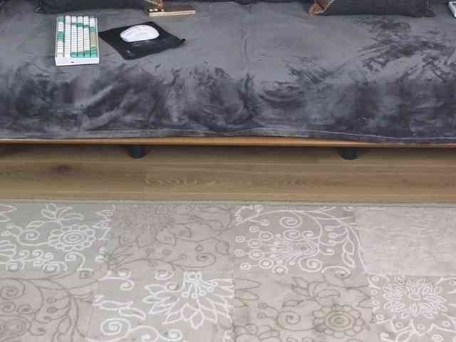 Dina5555 webcam