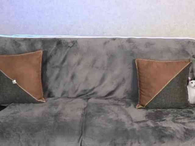Dina5555 webcam