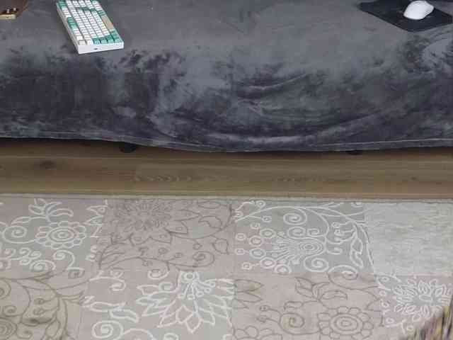 Dina5555 webcam