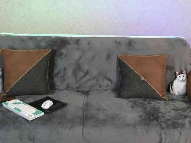 Dina5555 webcam
