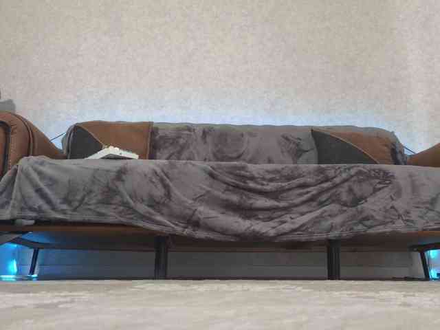 Dina5555 webcam