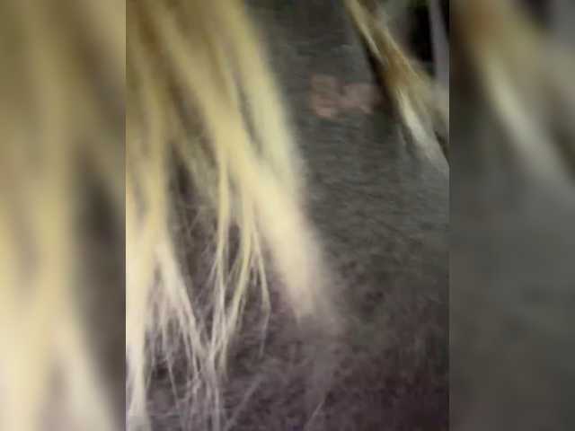 x-NaStyA-x
