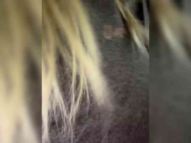 -Riviera- webcam