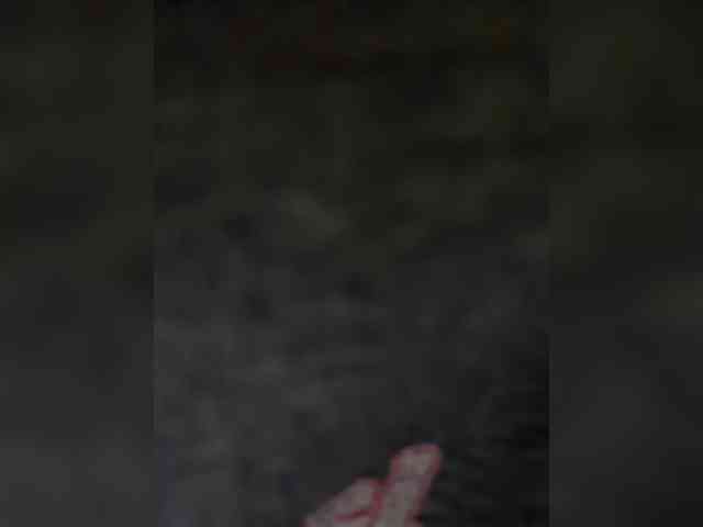 -Riviera- webcam