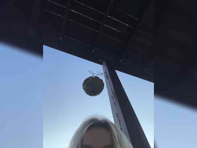 x-NaStyA-x